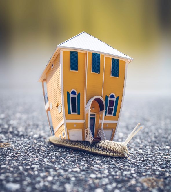 Small Home