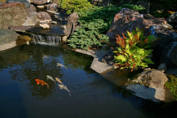 pond leak