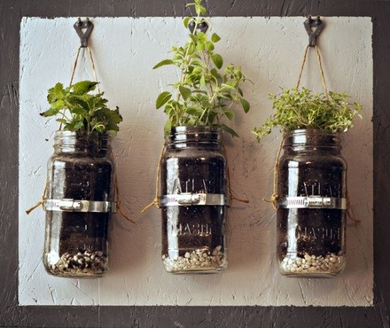 Gardening Ideas with Jars