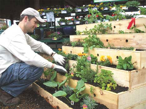 You can squeeze every possible inch of useable space in your apartment. Stacked raised beds can help you a lot.