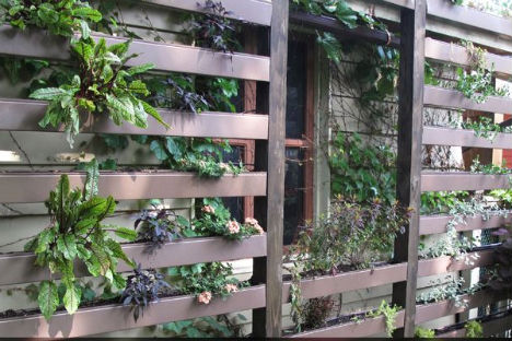 Garden Walls on 10 Gardening Ideas For Small Spaces Wall Garden     Living Impressive