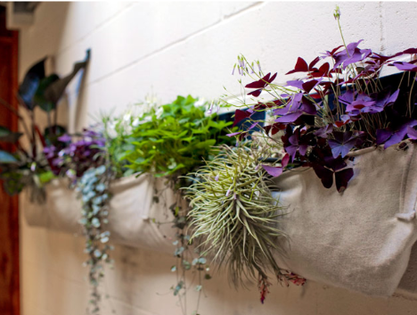 Breathable recycled wool planter bags can be your choice for creating lush green wall. 