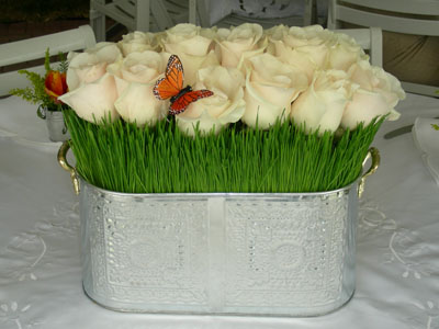 Grass and white roses, Perfect for garden themed wedding