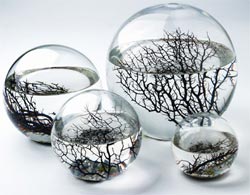 ecosphere a corporate gift ideas