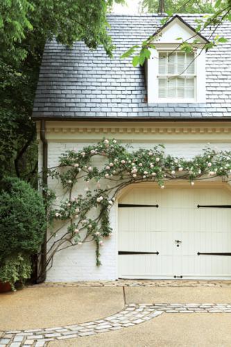 Plant rambling vines, it covers the space and gives a wholesome effect. 