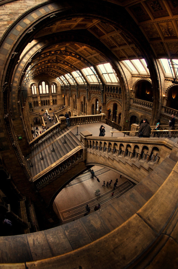 Great Hall of the Natural History Museum in London