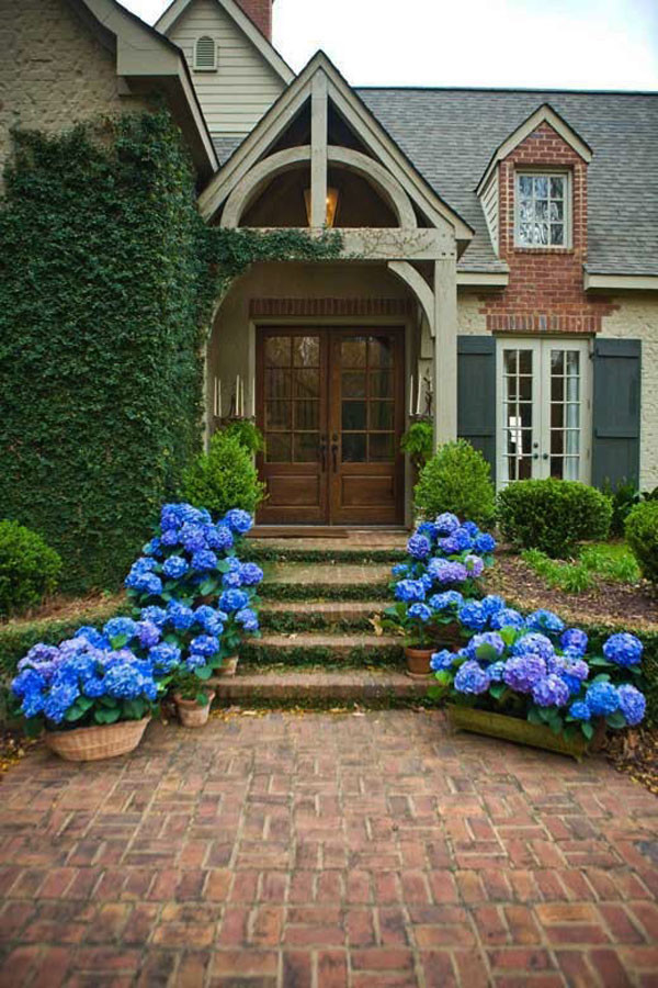 front_door_design_ideas