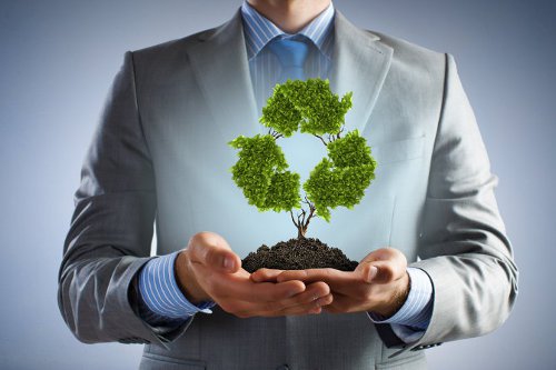 Tree in palms as a symbol of recycling and nature protection