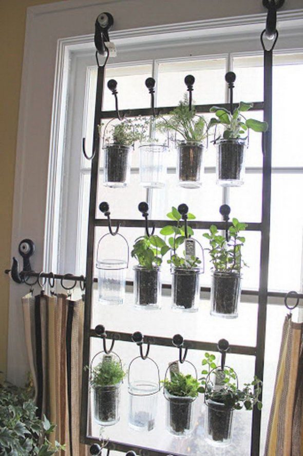 Hanging Indoor Garden