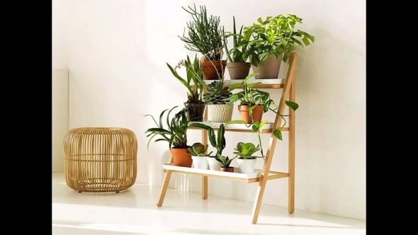 Planter Stand