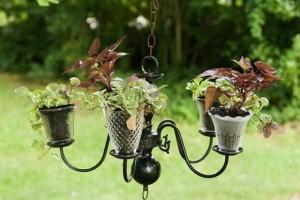 Planning Your Lawn Care and Landscaping in Vancouver BC