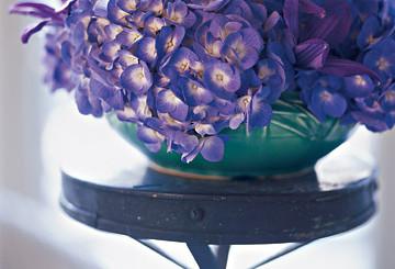 Why Flowers are Still the Perfect Gift: The Ultimate Guide for Modern Gift-Giving