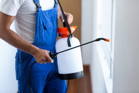 Why Pre-Purchase Termite Inspections Are Essential for Sydney Homebuyers?