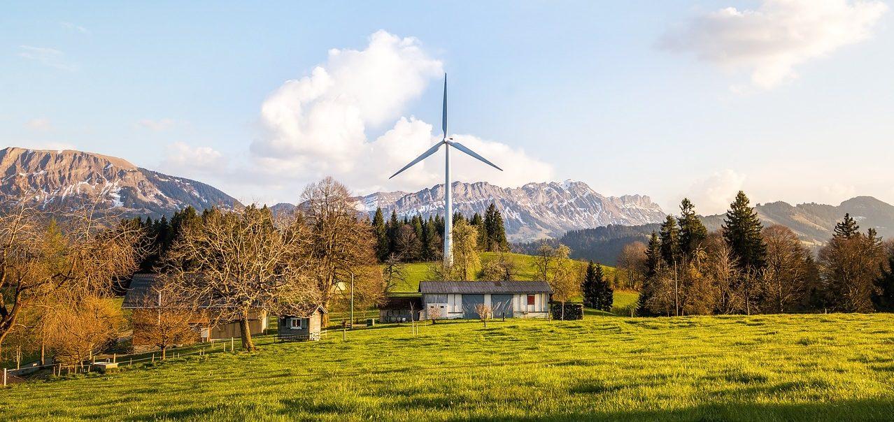 How To Go Green With Your Home Design