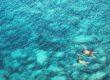 Why Are Luxury Anguilla Houses So Popular For Rich Tourists?