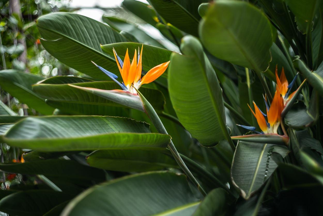 How to Turn Your Garden into an Aquatic Paradise