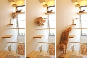 Tips for Transforming a New Home into Your Dream House