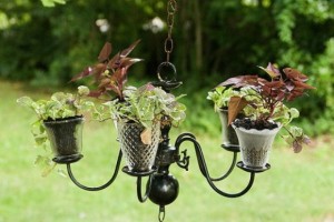 Planning Your Lawn Care and Landscaping in Vancouver BC