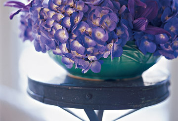 Why Flowers are Still the Perfect Gift: The Ultimate Guide for Modern Gift-Giving