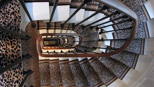 What to consider while buying wood from hardwood flooring stores?