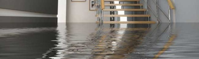 5 Amazing Basement Ideas