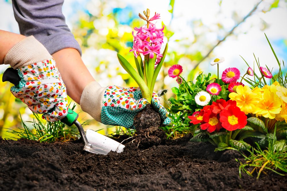 How to Breathe New Life into Your Garden