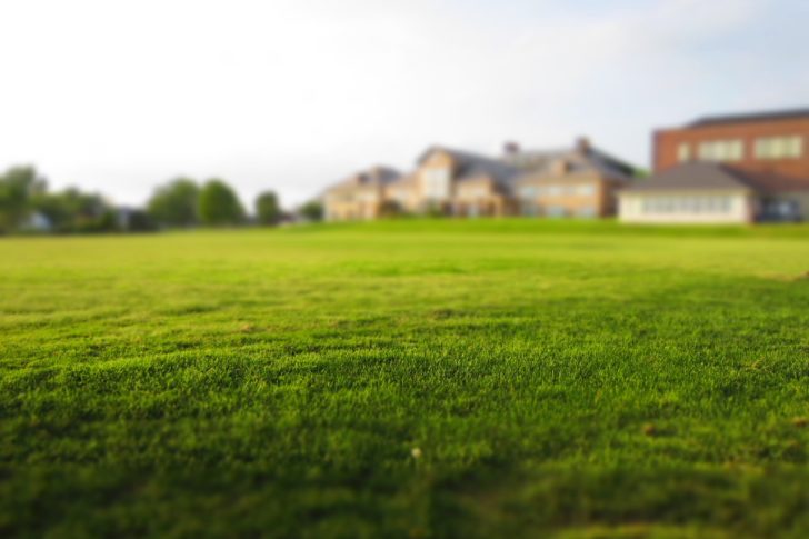 5 Reasons Why Mowing Wet Grass Is Bad