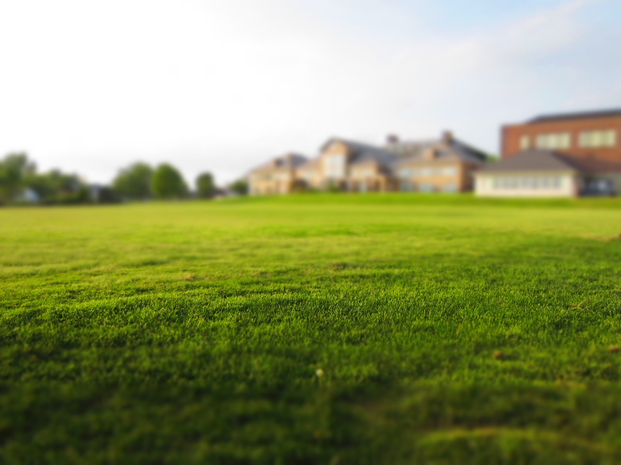 Tips On The Best Ways To Maintain A Lush Lawn While Still Conserving Water