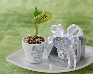 Wonderful hand-painted mini flower pot in a silver display container tied with organza ribbon