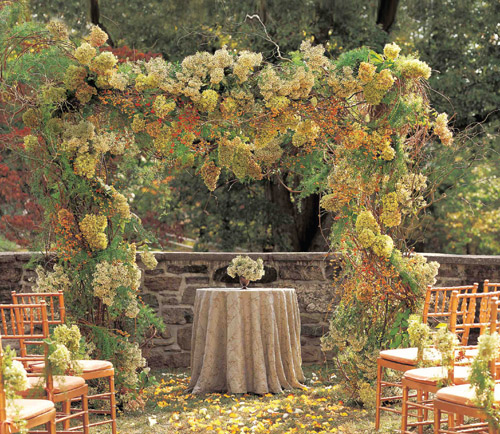 Place you stand and exchange vows should be perfect, a birch and curly willow arch filled with hydrangeas