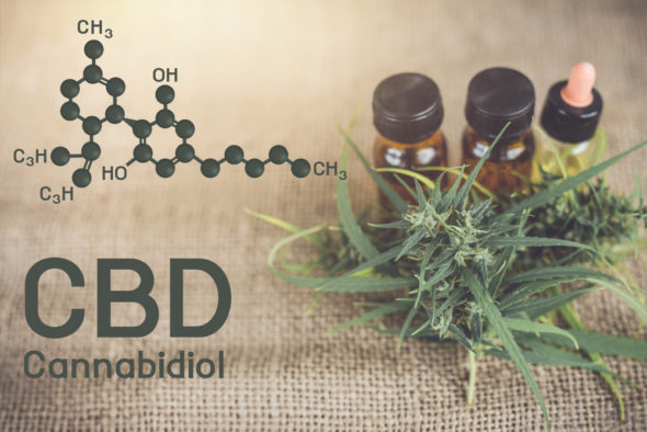 cbd oils