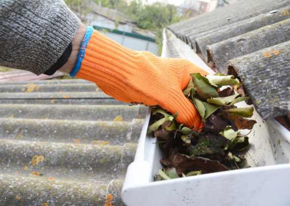 Roof Cleaning