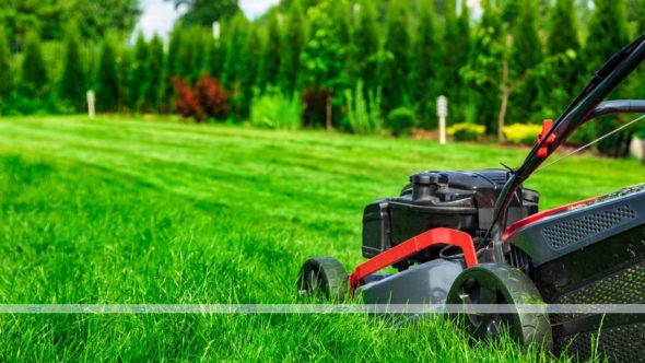 Mowing Wet Grass